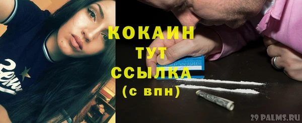 мяу мяу мука Богородицк