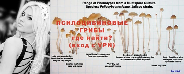 не бодяженный Богданович